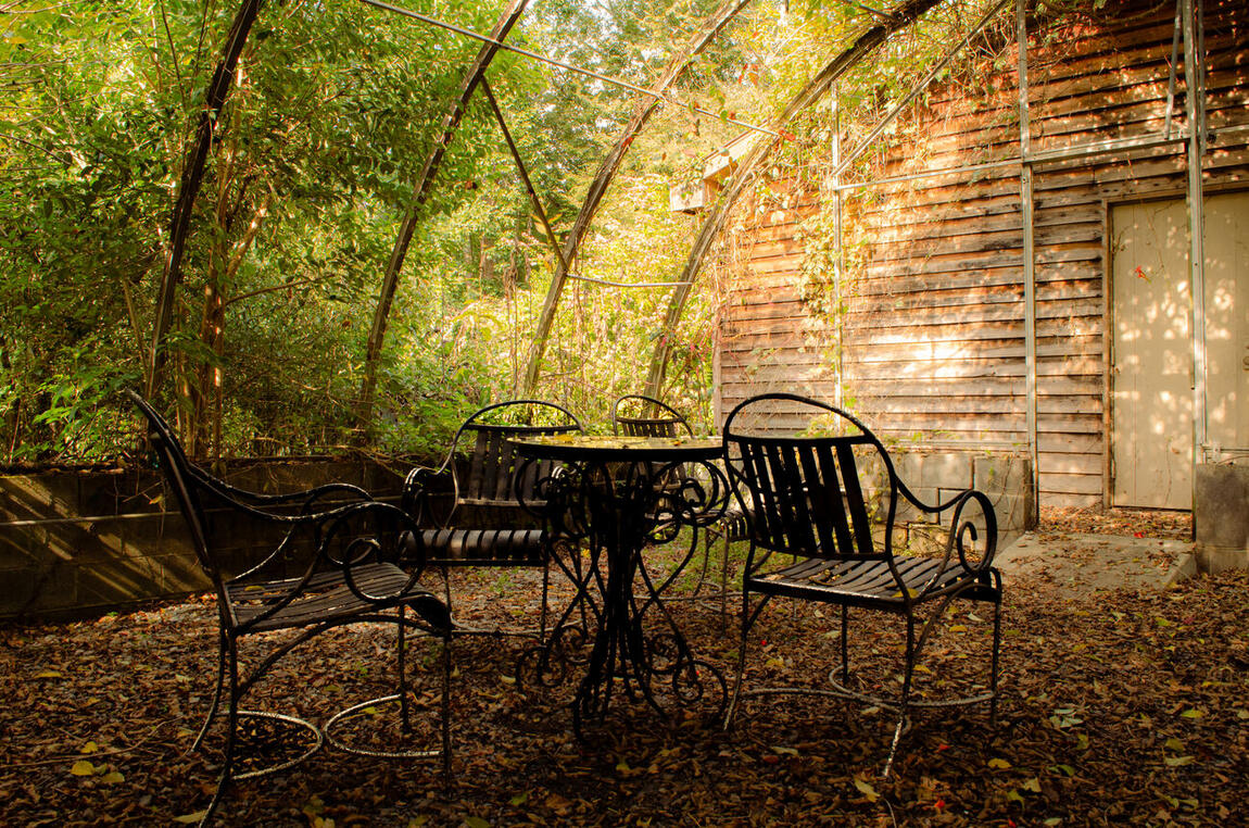 An empty wrought-iron table and chairs under a vine-covered arbor